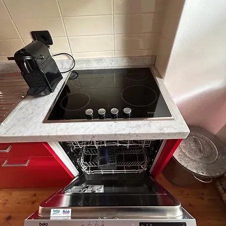 10 * 안타그노드